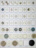 Shirt Buttons