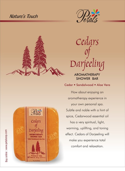 Cedars of Darjeeling