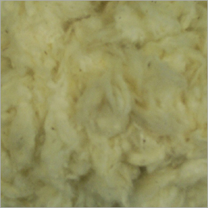 Unbleached Raw Cotton
