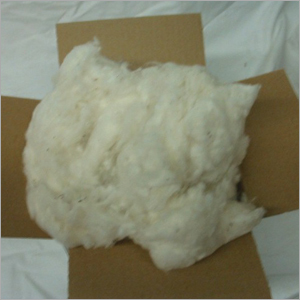 Cotton Lint