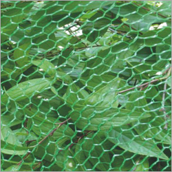 Anti Bird Net