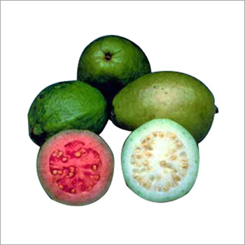 Guava