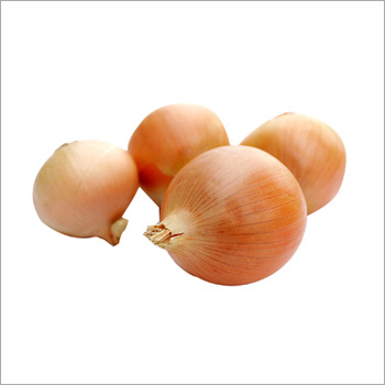 Onion