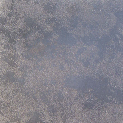 Lime Black Non Slip Finish
