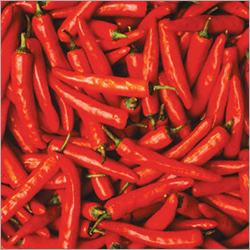 Red Chillies
