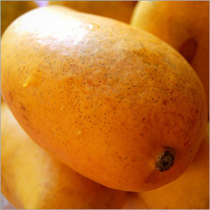 Manila Mangoes