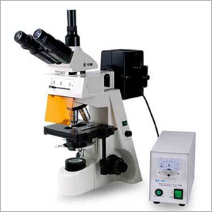 Fluorescence Microscopes