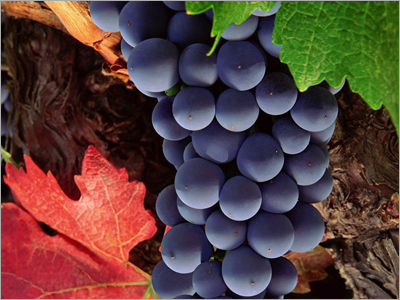 Grapes Drink