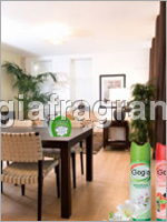 Room Freshner Fragrance