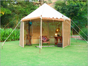 Canopy Chic
