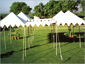 Quadruple Pergola