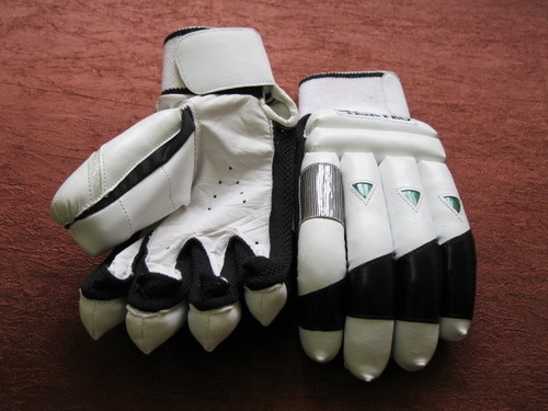 Cricket Gloves
