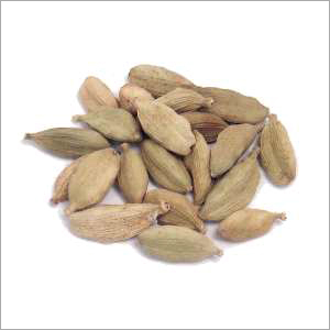 Cardamom