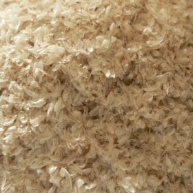 Psyllium Seed Powder