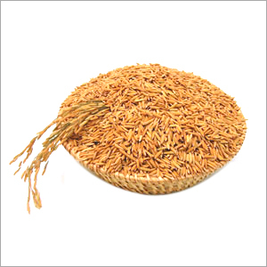 Rice Bran Oil