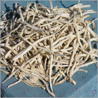 Safed Musli