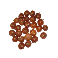 Soap Nut