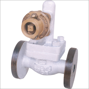 Cast Steel Blow Down Valve