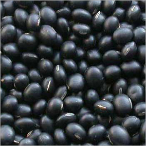 Black Matpe