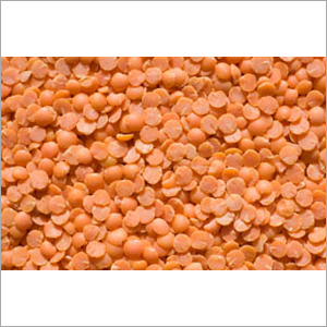 Red Lentils