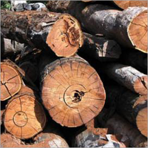 Timber