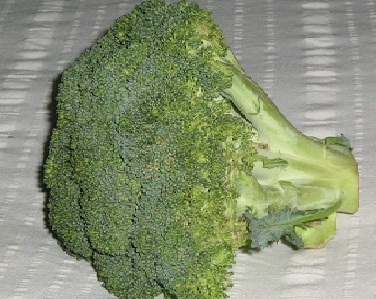 Broccoli
