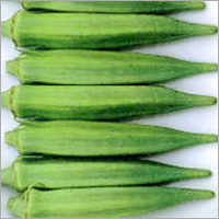 Quick Frozen Young Okra