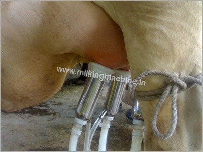 Milking Machine by Cow