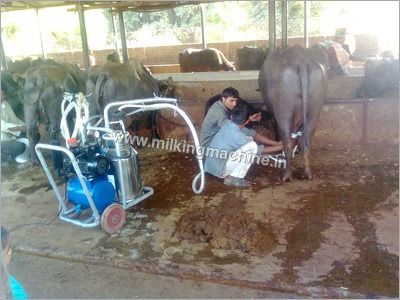 Low Energy Consumption Buffalo Milking Machine