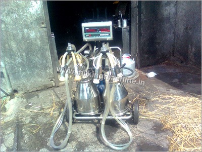 Milking Machine With Two Cans