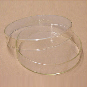 PETRI DISH