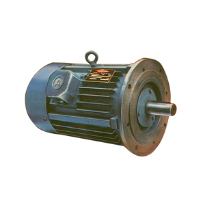 Flanged Motor - Cast Iron, 180mm x 240mm, IP55, 415V, 1.5kW, 1440 RPM | High Torque, Low Noise, Durable, Efficient, Versatile, Compact Design, Easy Installation