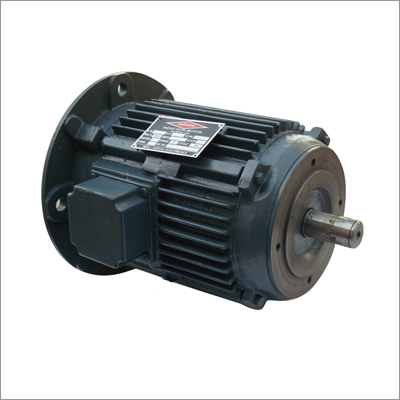 Face & Flange Mounted Motor