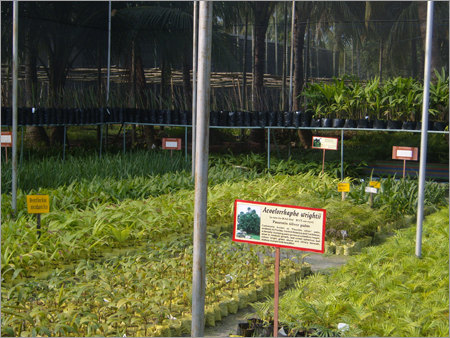 Our Nursery