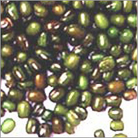 Green Moong Beans