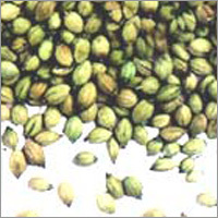 Coriander Seeds