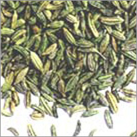 Fennel Seeds