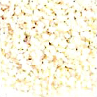 Hulled Sesame Seeds
