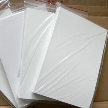 Paper & Paper Boards