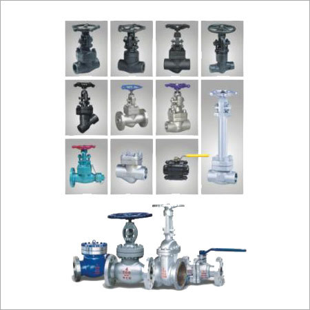 Forged Steel Valves
