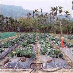 Bio-technology Products