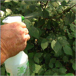 Bio-technology Products