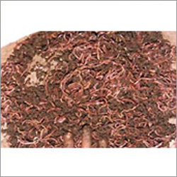Bio-technology Products