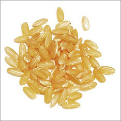 Bio-technology Products