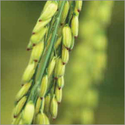 Bio-technology Products