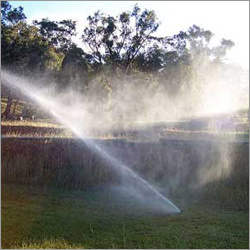 Homemade Lawn Pesticides