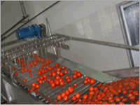 Fruit Washer