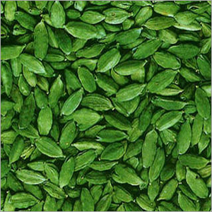 Cardamom Seed - Green Color 8-12% Moisture | Aromatic Flavorful Culinary Spice Warm Scent