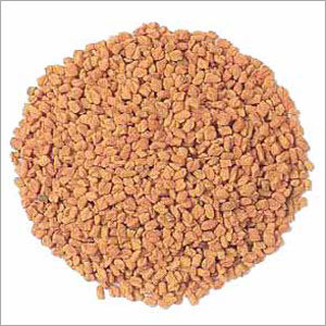 Fenugreek