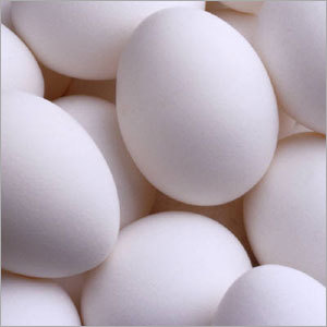 Egg